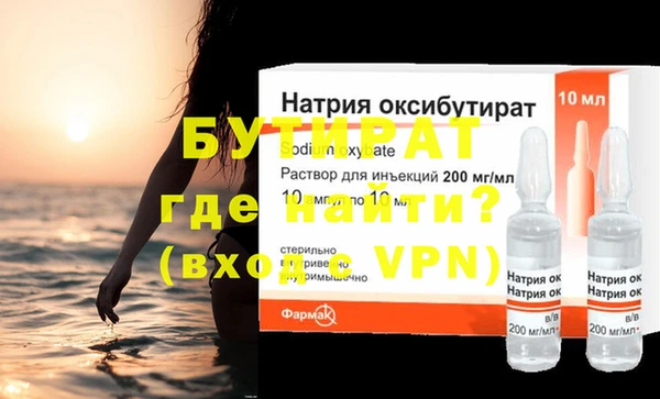 сатива Новозыбков