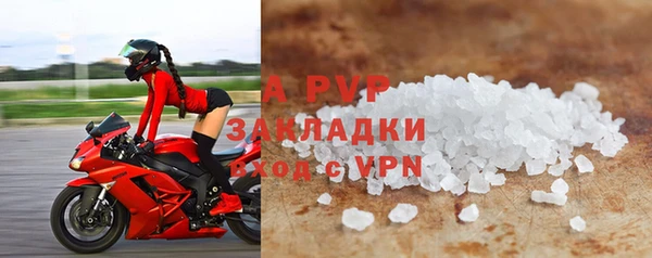 сатива Новозыбков
