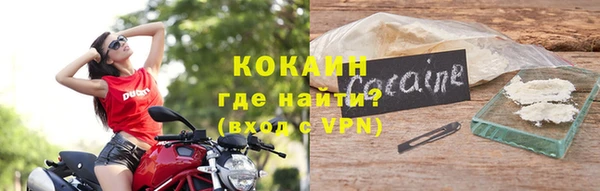 сатива Новозыбков