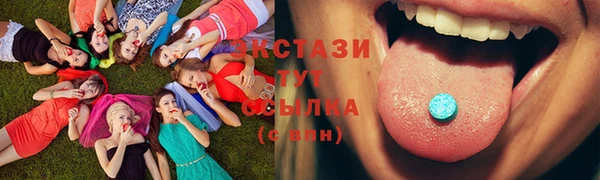 сатива Новозыбков
