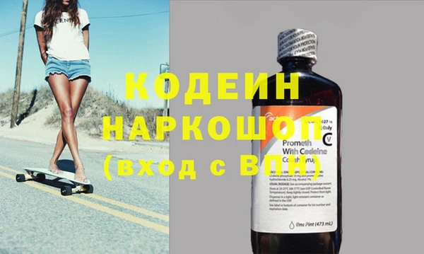 сатива Новозыбков