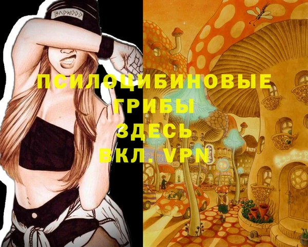 мяу мяу кристалл Новодвинск