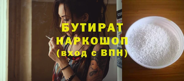 сатива Новозыбков