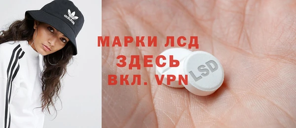 сатива Новозыбков