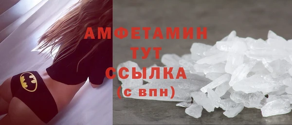 сатива Новозыбков