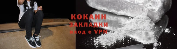 сатива Новозыбков