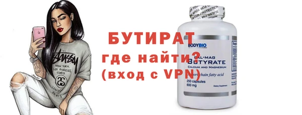 сатива Новозыбков