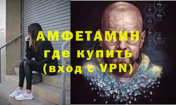 сатива Новозыбков