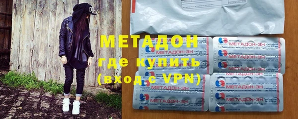 сатива Новозыбков