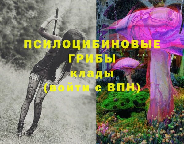 мяу мяу кристалл Новодвинск