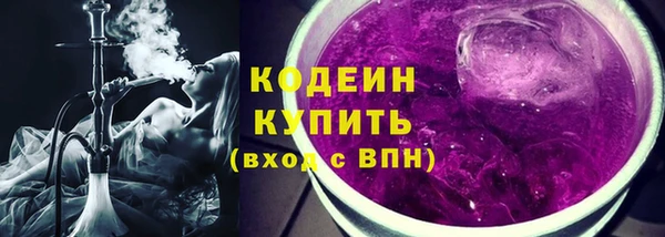 сатива Новозыбков