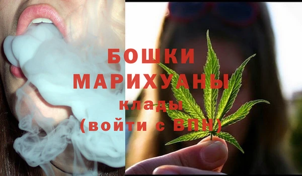 ПСИЛОЦИБИНОВЫЕ ГРИБЫ Новокубанск