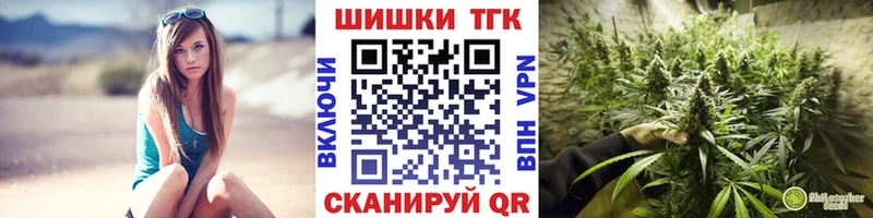 Купить закладки  Новокузнецк  Бошки Шишки THC 21% 